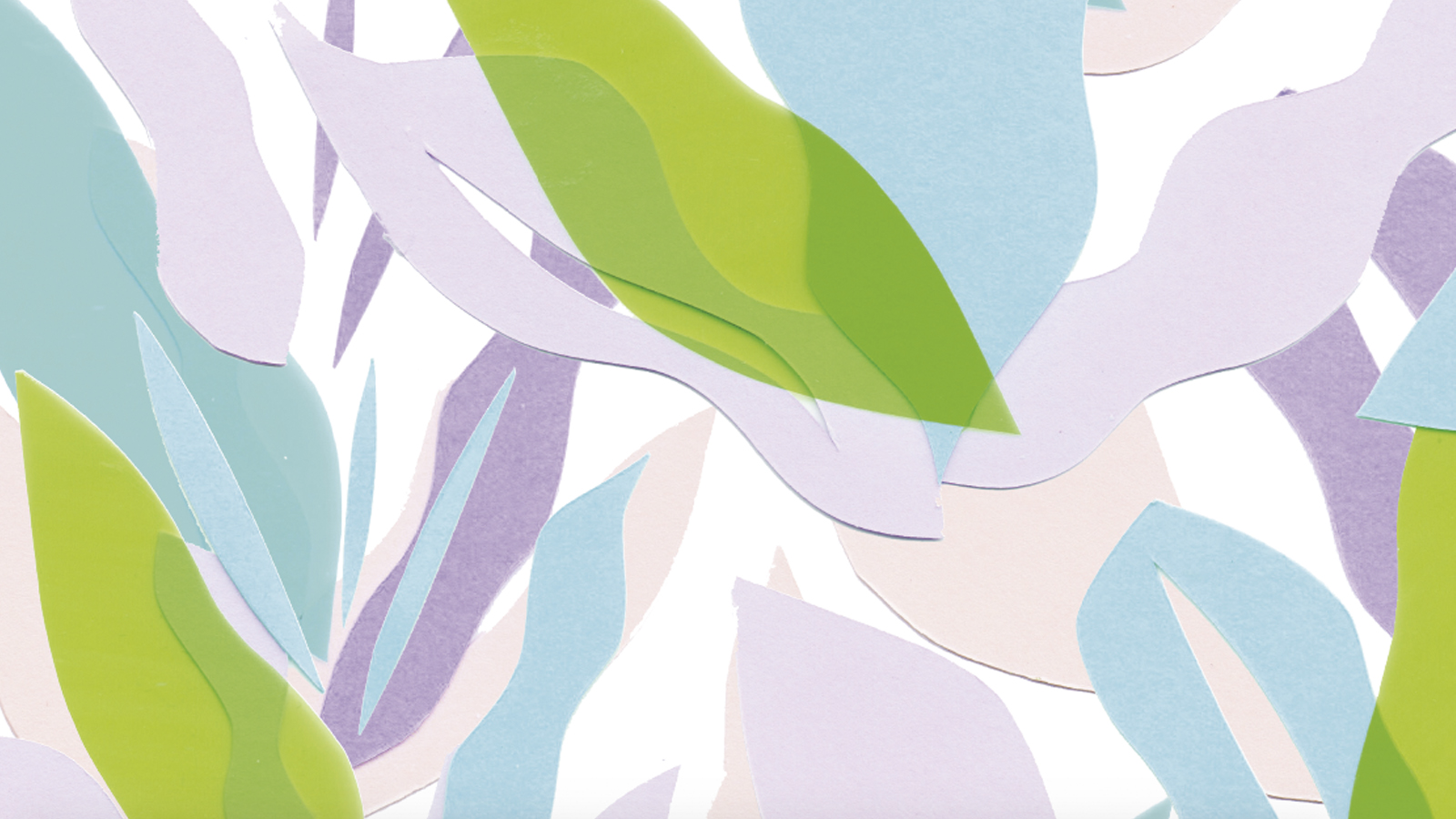 'petalos' by Romina Sandrock